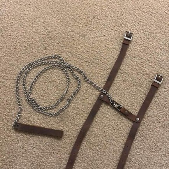 Leather Walking Cat Harness - Picture 1 of 6